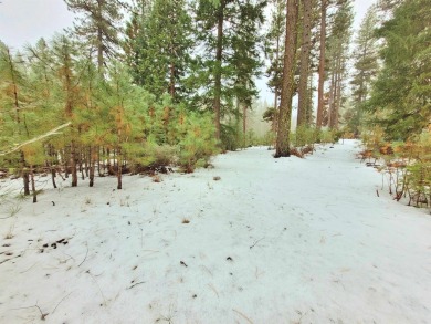 EUREKA! THIS WOODED HOMESITE BACKS UP TO OPEN SPACE AND PRIVACY on Plumas Pines Golf Resort in California - for sale on GolfHomes.com, golf home, golf lot