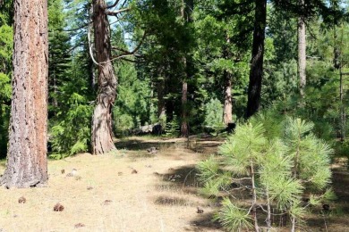 EUREKA! THIS WOODED HOMESITE BACKS UP TO OPEN SPACE AND PRIVACY on Plumas Pines Golf Resort in California - for sale on GolfHomes.com, golf home, golf lot