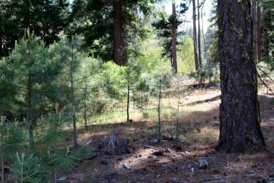 EUREKA! THIS WOODED HOMESITE BACKS UP TO OPEN SPACE AND PRIVACY on Plumas Pines Golf Resort in California - for sale on GolfHomes.com, golf home, golf lot
