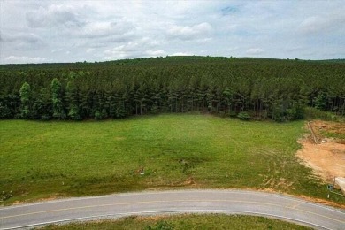 Welcome to Jasper Highlands. The 2 lots that the property on Sequatchie Valley Golf and Country Club in Tennessee - for sale on GolfHomes.com, golf home, golf lot