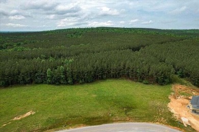 Welcome to Jasper Highlands. The 2 lots that the property on Sequatchie Valley Golf and Country Club in Tennessee - for sale on GolfHomes.com, golf home, golf lot