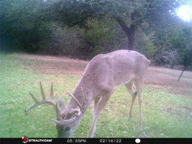 White Bluff is the place to be.   This is a great lot!!   Come on White Bluff Resort - Old Course in Texas - for sale on GolfHomes.com, golf home, golf lot