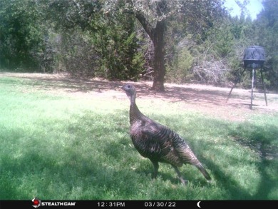 White Bluff is the place to be.   This is a great lot!!   Come on White Bluff Resort - Old Course in Texas - for sale on GolfHomes.com, golf home, golf lot