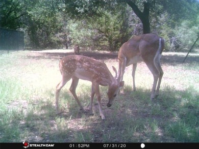 White Bluff is the place to be.   This is a great lot!!   Come on White Bluff Resort - Old Course in Texas - for sale on GolfHomes.com, golf home, golf lot