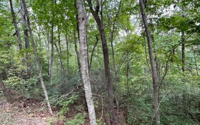 NORTH CAROLINA MOUNTAIN LOT!! This beautifully wooded 2.24 acre on Mountain Harbour Golf Club in North Carolina - for sale on GolfHomes.com, golf home, golf lot