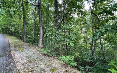 NORTH CAROLINA MOUNTAIN LOT!! This beautifully wooded 2.24 acre on Mountain Harbour Golf Club in North Carolina - for sale on GolfHomes.com, golf home, golf lot