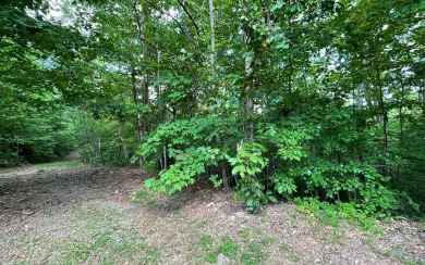 NORTH CAROLINA MOUNTAIN LOT!! This beautifully wooded 2.24 acre on Mountain Harbour Golf Club in North Carolina - for sale on GolfHomes.com, golf home, golf lot