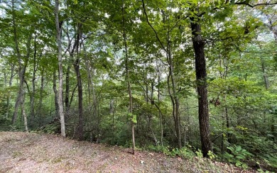 NORTH CAROLINA MOUNTAIN LOT!! This beautifully wooded 2.24 acre on Mountain Harbour Golf Club in North Carolina - for sale on GolfHomes.com, golf home, golf lot