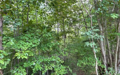 NORTH CAROLINA MOUNTAIN LOT!! This beautifully wooded 2.24 acre on Mountain Harbour Golf Club in North Carolina - for sale on GolfHomes.com, golf home, golf lot
