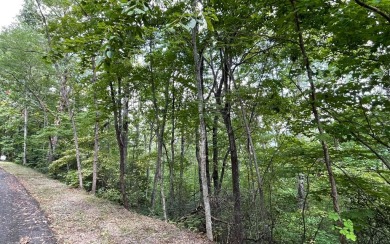 NORTH CAROLINA MOUNTAIN LOT!! This beautifully wooded 2.24 acre on Mountain Harbour Golf Club in North Carolina - for sale on GolfHomes.com, golf home, golf lot