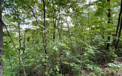 NORTH CAROLINA MOUNTAIN LOT!! This beautifully wooded 2.24 acre on Mountain Harbour Golf Club in North Carolina - for sale on GolfHomes.com, golf home, golf lot