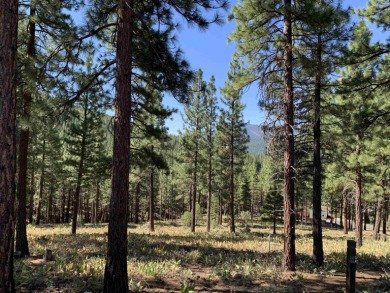 Beautifully treed, gently downsloping .74 acre homesite with on Grizzly Ranch Golf Club in California - for sale on GolfHomes.com, golf home, golf lot