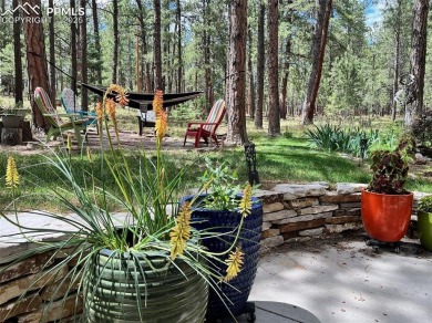 This is the one you've been waiting for!  This 4 bedroom, 3  1/2 on Woodmoor Pines Country Club in Colorado - for sale on GolfHomes.com, golf home, golf lot