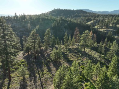 One-of-a-kind Sierra property: legendary 3.38-acre homesite on Nakoma Golf Resort in California - for sale on GolfHomes.com, golf home, golf lot
