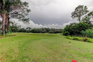 SPECTACULAR SETTING overlooking the Westchase Golf Course with on Westchase Golf Club in Florida - for sale on GolfHomes.com, golf home, golf lot