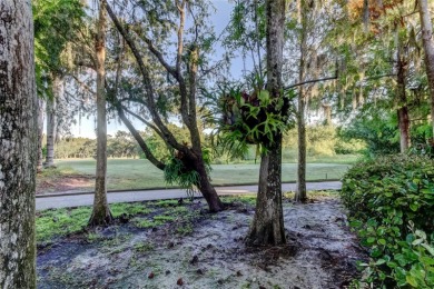 SPECTACULAR SETTING overlooking the Westchase Golf Course with on Westchase Golf Club in Florida - for sale on GolfHomes.com, golf home, golf lot