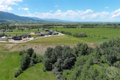 Exceptional Development Opportunity - 5 Contiguous Multifamily on Red Lodge Golf Club in Montana - for sale on GolfHomes.com, golf home, golf lot
