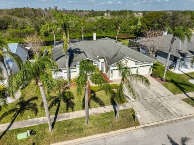 Riverview Florida... Clubhouse Estates at Summerfield..is a on Summerfield Crossing Golf Club in Florida - for sale on GolfHomes.com, golf home, golf lot