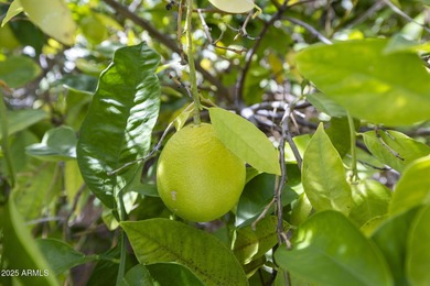 Welcome to your desert sanctuary in the heart of Legend Trail! on Legend Trail Golf Club in Arizona - for sale on GolfHomes.com, golf home, golf lot