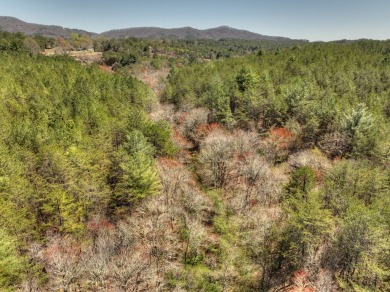 Prime Potential Property...36 + Acres gentle wooded tract fronts on Copper Basin Golf Club in Tennessee - for sale on GolfHomes.com, golf home, golf lot