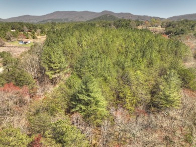 Prime Potential Property...36 + Acres gentle wooded tract fronts on Copper Basin Golf Club in Tennessee - for sale on GolfHomes.com, golf home, golf lot
