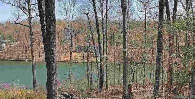 Welcome To Market This Vacant Lakefront Lot on Aztec Lake in on Cherokee Village South Course in Arkansas - for sale on GolfHomes.com, golf home, golf lot