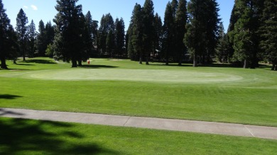 Beautiful level lot with over 1/3 acres located in prestigious on Lake Almanor Country Club in California - for sale on GolfHomes.com, golf home, golf lot