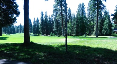 This almost 1/3 acre and great location on the black tee box of on Bailey Creek Golf Course in California - for sale on GolfHomes.com, golf home, golf lot