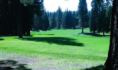 This almost 1/3 acre and great location on the black tee box of on Bailey Creek Golf Course in California - for sale on GolfHomes.com, golf home, golf lot