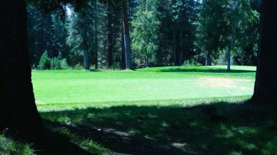 This almost 1/3 acre and great location on the black tee box of on Bailey Creek Golf Course in California - for sale on GolfHomes.com, golf home, golf lot