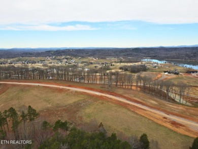 Enjoy privacy, breathtaking views, and resort-style living in on Tennessee National Golf Club in Tennessee - for sale on GolfHomes.com, golf home, golf lot