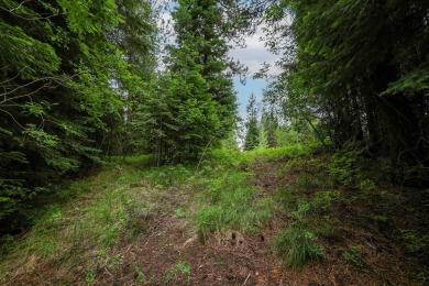 Discover your dream mountain lifestyle on this generous on Whitetail Golf Club in Idaho - for sale on GolfHomes.com, golf home, golf lot