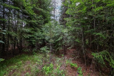 Discover your dream mountain lifestyle on this generous on Whitetail Golf Club in Idaho - for sale on GolfHomes.com, golf home, golf lot