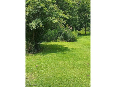 Come build your dream lake house here in the quaint village of on Olde Dutch Mill Golf Course in Ohio - for sale on GolfHomes.com, golf home, golf lot