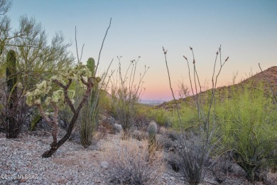 Nestled within a gated, private and luxurious Enclave, this 3 on Starr Pass Golf Club in Arizona - for sale on GolfHomes.com, golf home, golf lot
