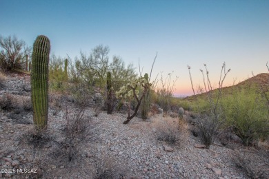 Nestled within a gated, private and luxurious Enclave, this 3 on Starr Pass Golf Club in Arizona - for sale on GolfHomes.com, golf home, golf lot