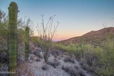 Nestled within a gated, private and luxurious Enclave, this 3 on Starr Pass Golf Club in Arizona - for sale on GolfHomes.com, golf home, golf lot