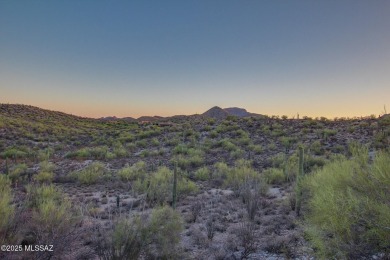 Nestled within a gated, private and luxurious Enclave, this 3 on Starr Pass Golf Club in Arizona - for sale on GolfHomes.com, golf home, golf lot