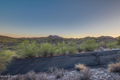 Nestled within a gated, private and luxurious Enclave, this 3 on Starr Pass Golf Club in Arizona - for sale on GolfHomes.com, golf home, golf lot