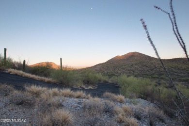 Nestled within a gated, private and luxurious Enclave, this 3 on Starr Pass Golf Club in Arizona - for sale on GolfHomes.com, golf home, golf lot