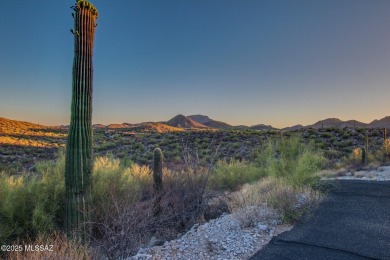 Nestled within a gated, private and luxurious Enclave, this 3 on Starr Pass Golf Club in Arizona - for sale on GolfHomes.com, golf home, golf lot