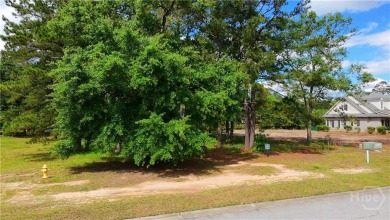 Experience Premier Savannah Living
Build your dream home on this on Savannah Quarters Country Club in Georgia - for sale on GolfHomes.com, golf home, golf lot