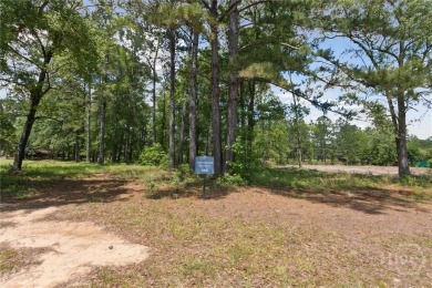 Experience Premier Savannah Living
Build your dream home on this on Savannah Quarters Country Club in Georgia - for sale on GolfHomes.com, golf home, golf lot