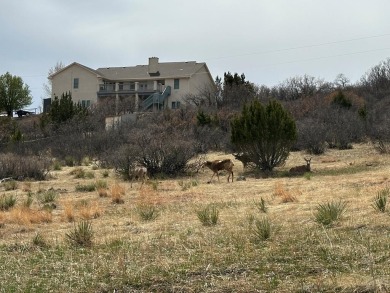 Nice large Buillding Site! With Views, close to shopping, Lake on Hollydot Golf Course in Colorado - for sale on GolfHomes.com, golf home, golf lot