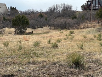 Nice large Buillding Site! With Views, close to shopping, Lake on Hollydot Golf Course in Colorado - for sale on GolfHomes.com, golf home, golf lot