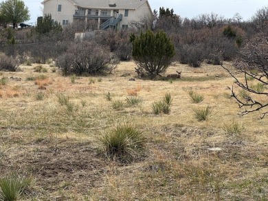 Nice large Buillding Site! With Views, close to shopping, Lake on Hollydot Golf Course in Colorado - for sale on GolfHomes.com, golf home, golf lot
