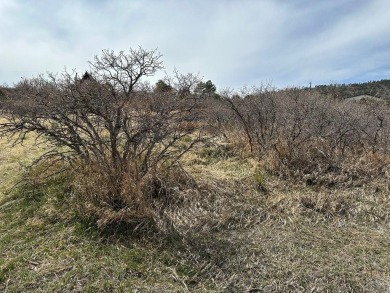 Nice large Buillding Site! With Views, close to shopping, Lake on Hollydot Golf Course in Colorado - for sale on GolfHomes.com, golf home, golf lot