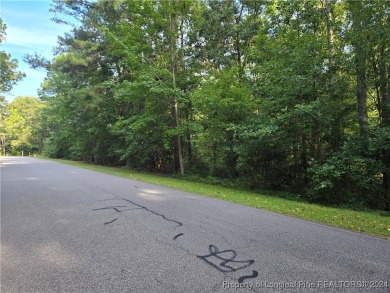 Build your dream home here and have it ready by the time the on Woodlake Country Club in North Carolina - for sale on GolfHomes.com, golf home, golf lot
