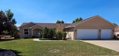 Beautiful golf course area rancher located in a desirable pueblo on Desert Hawk At Pueblo West in Colorado - for sale on GolfHomes.com, golf home, golf lot