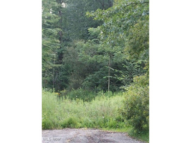 Come build you lake dreams here in the quaint village of Craig on Olde Dutch Mill Golf Course in Ohio - for sale on GolfHomes.com, golf home, golf lot